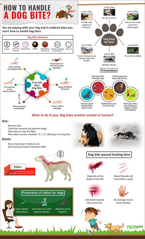 Animal Bite Center recommendations within QC : r/catsofrph.